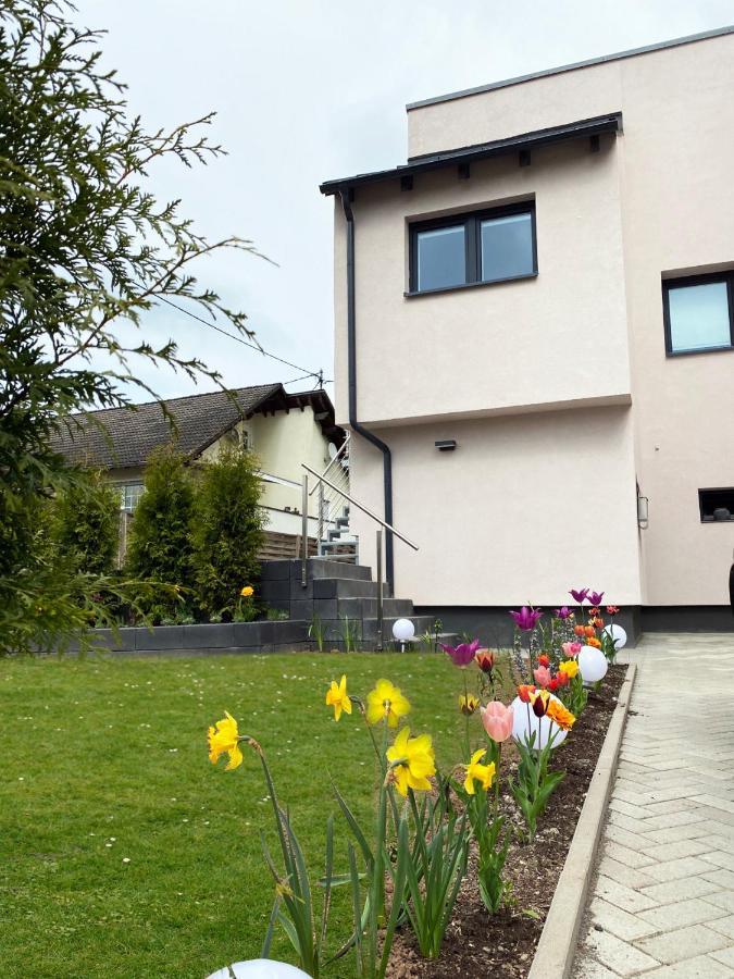 Sonnenlay Lounge - Studio & Ferienhaus Brauneberg Exterior photo